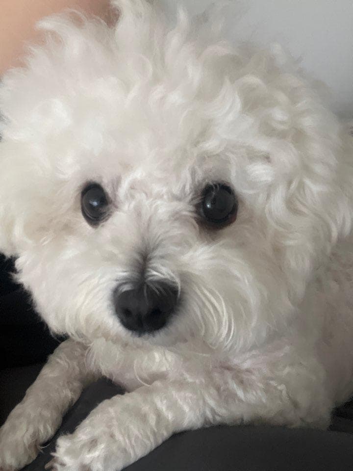 2번 째 사진