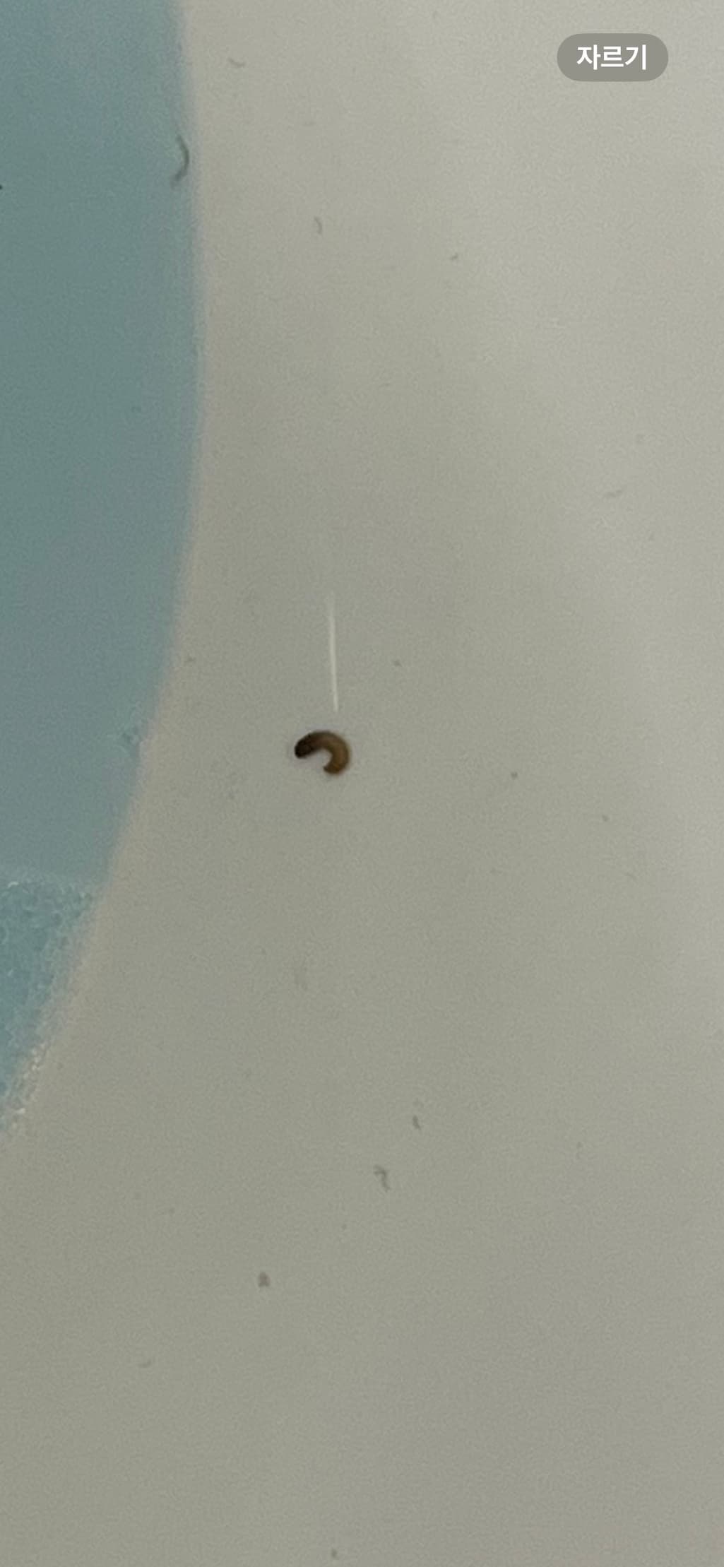 2번 째 사진