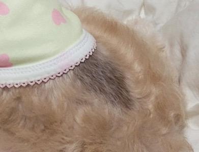 2번 째 사진