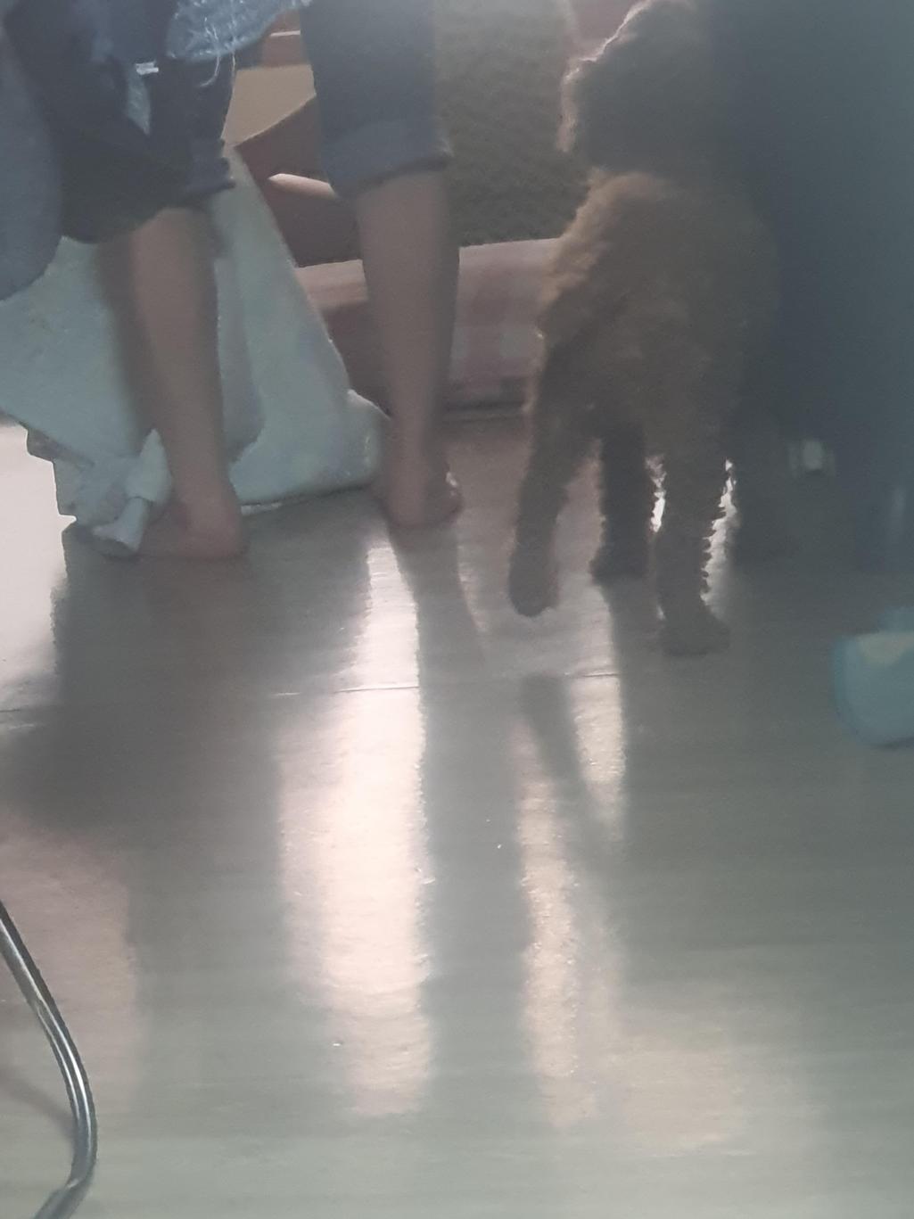1번 째 사진