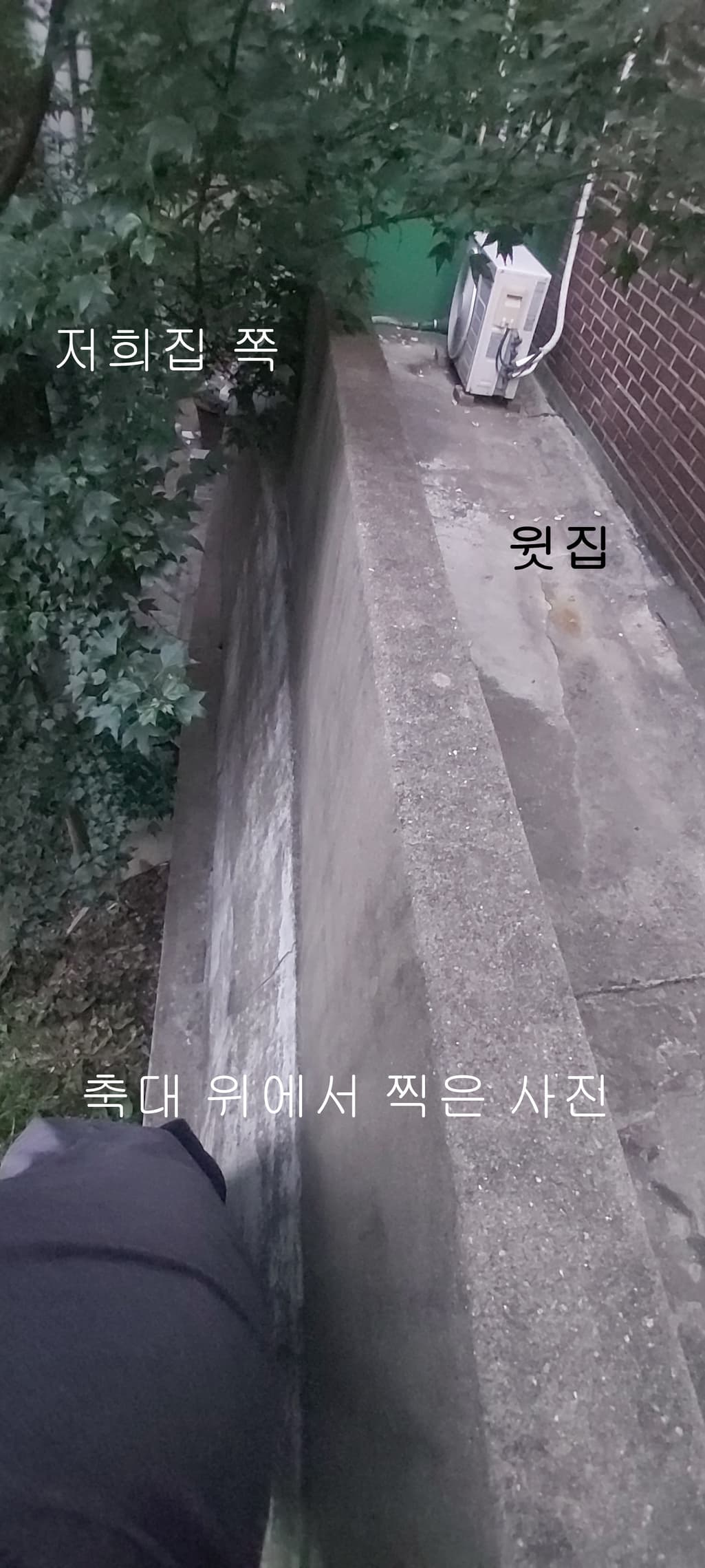 5번 째 사진