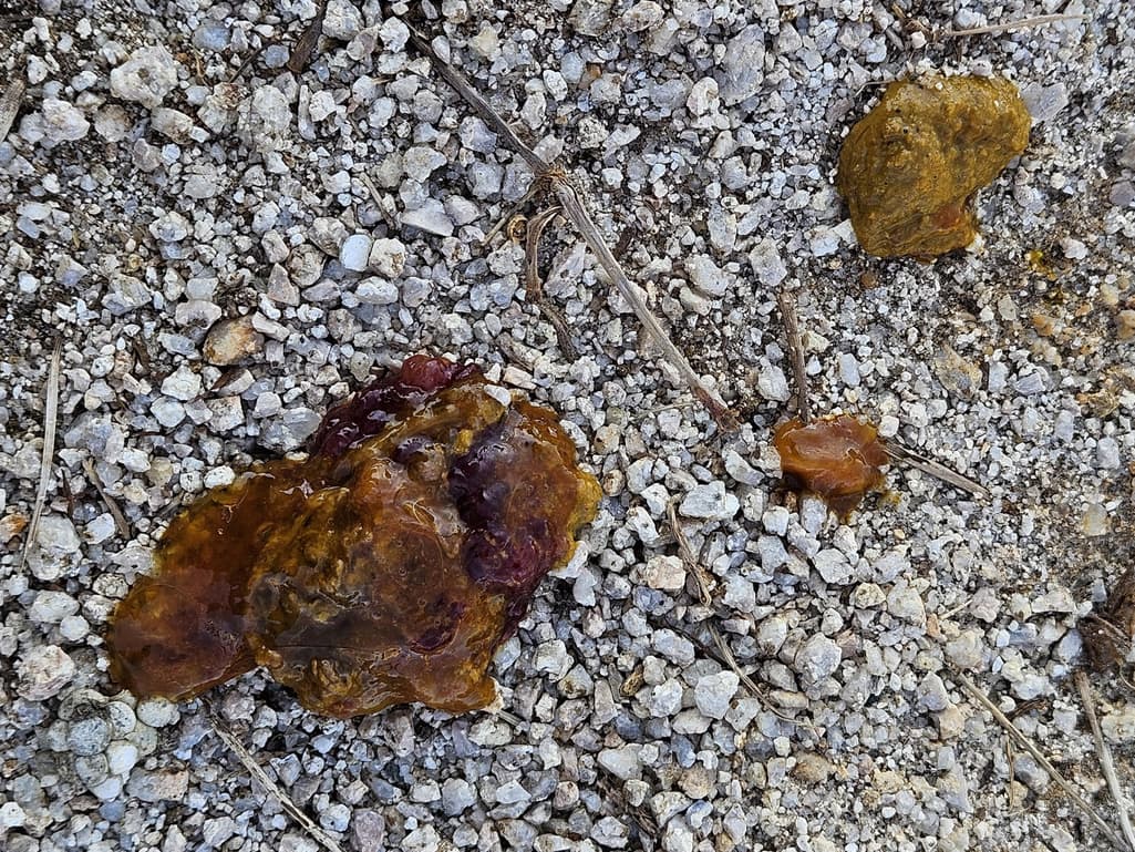 3번 째 사진