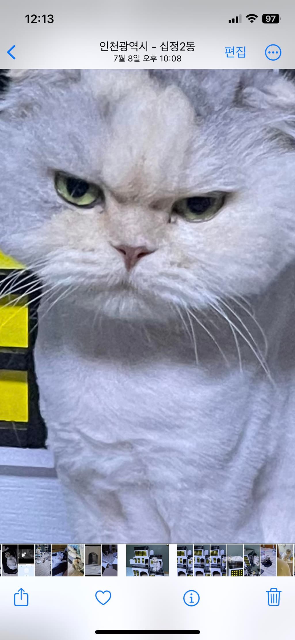 3번 째 사진