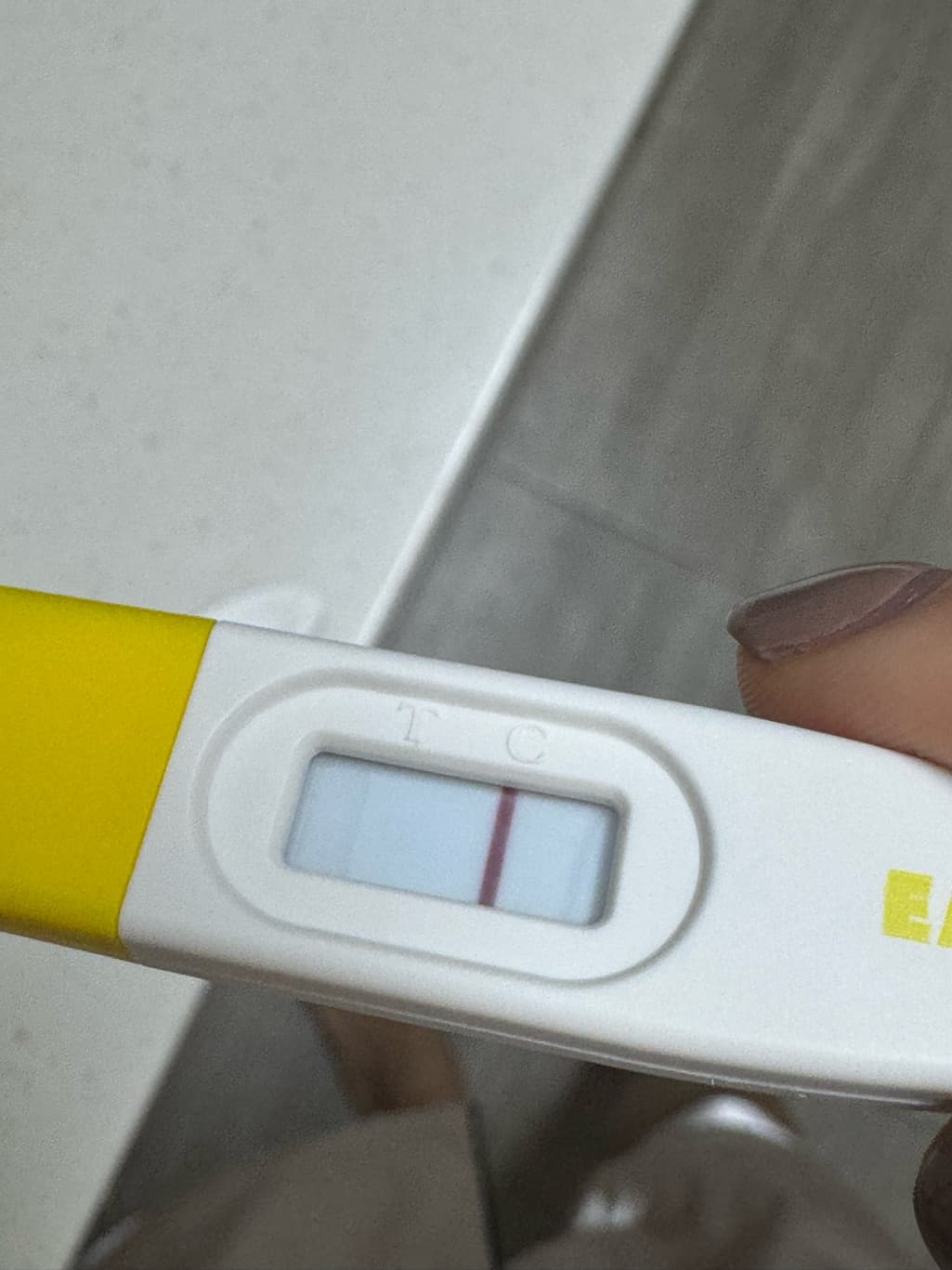 2번 째 사진