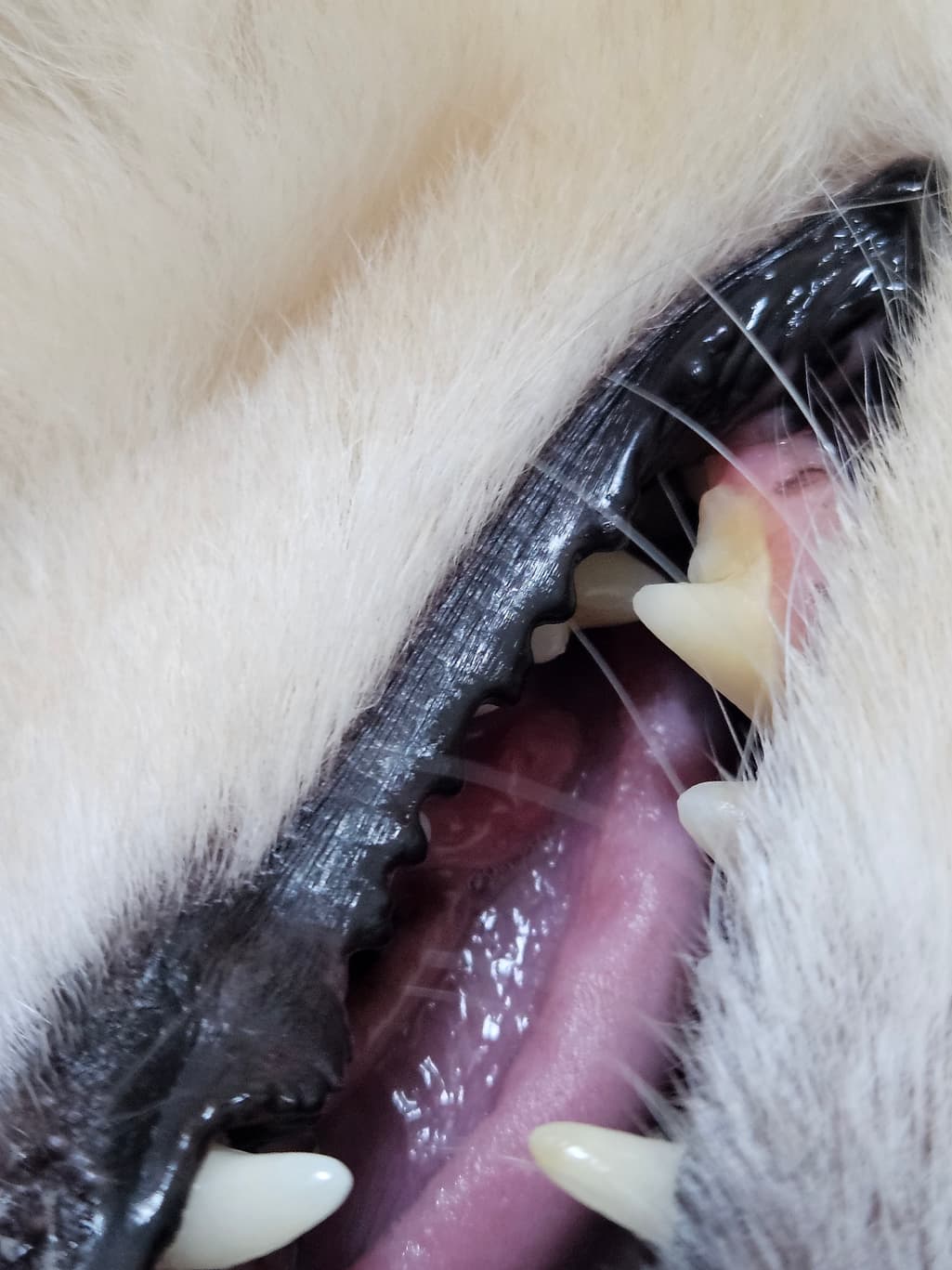 5번 째 사진