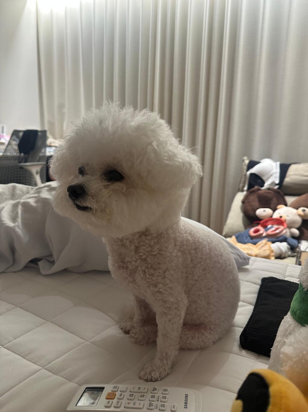 2번 째 사진