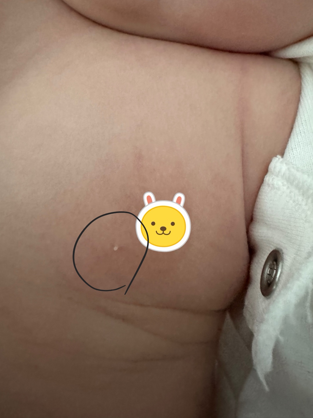 2번 째 사진