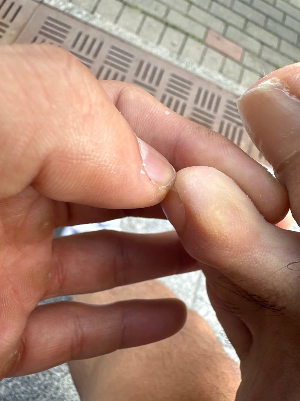 2번 째 사진