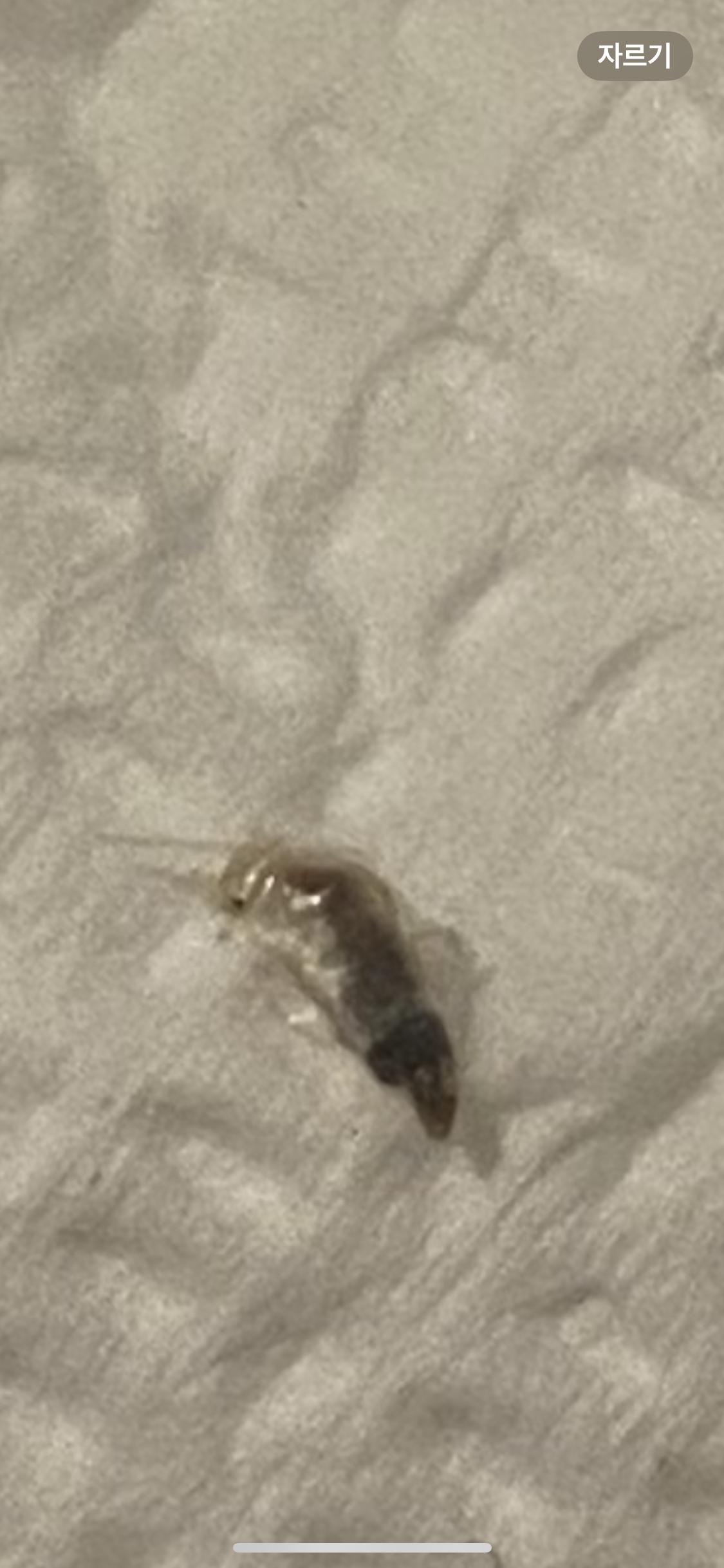 2번 째 사진