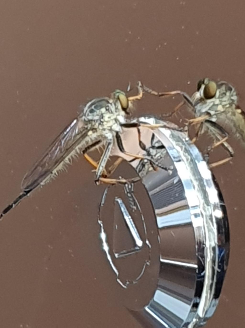 3번 째 사진