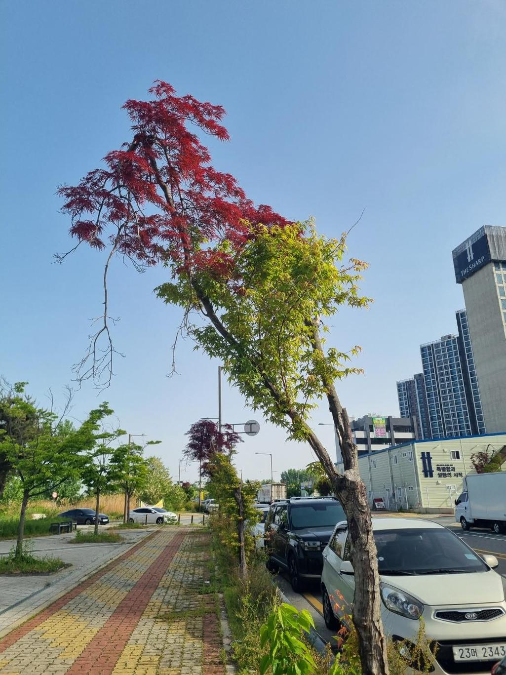 1번 째 사진