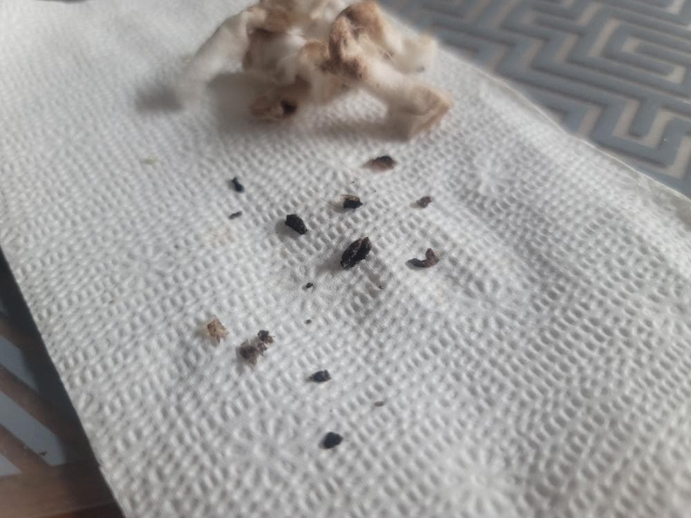 3번 째 사진