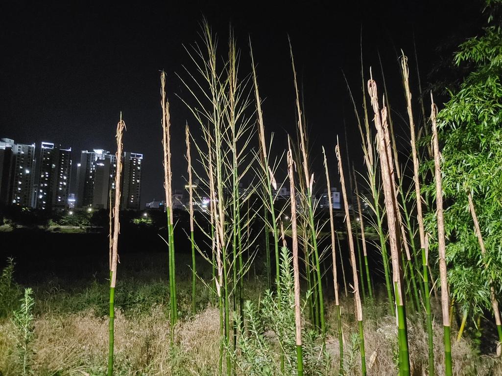 3번 째 사진