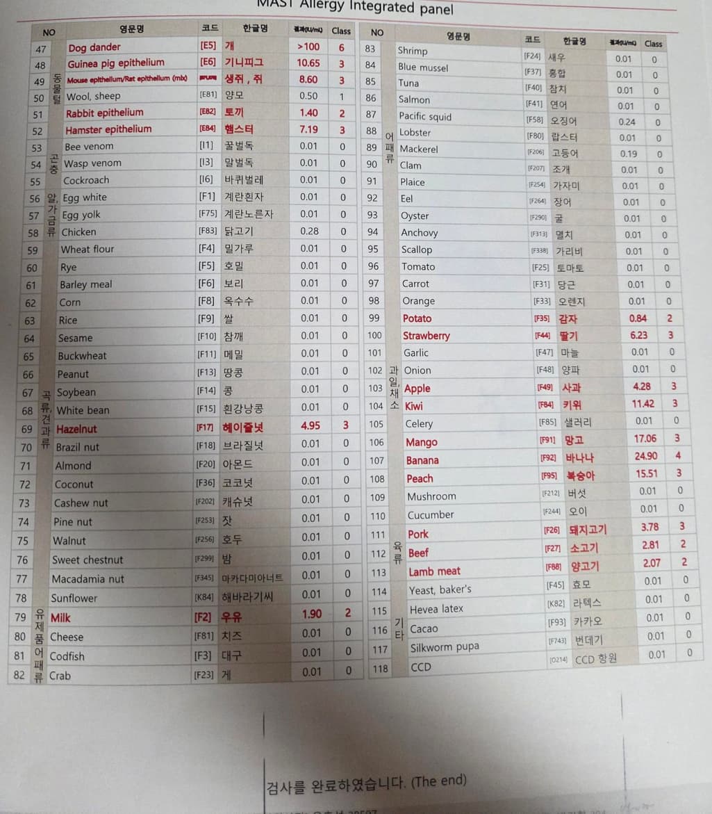 2번 째 사진