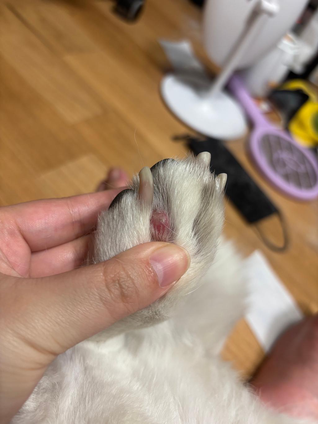 1번 째 사진