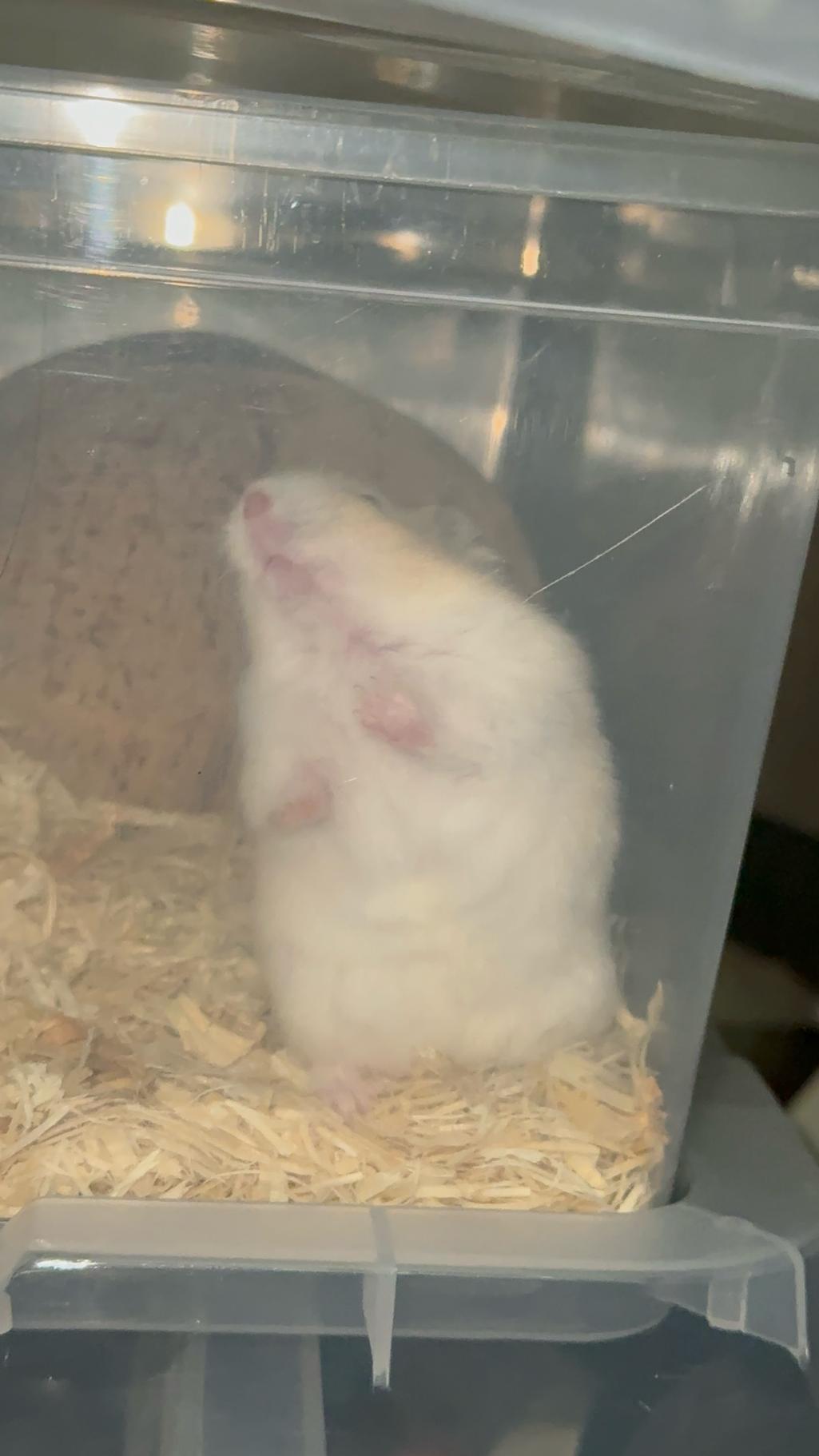 6번 째 사진