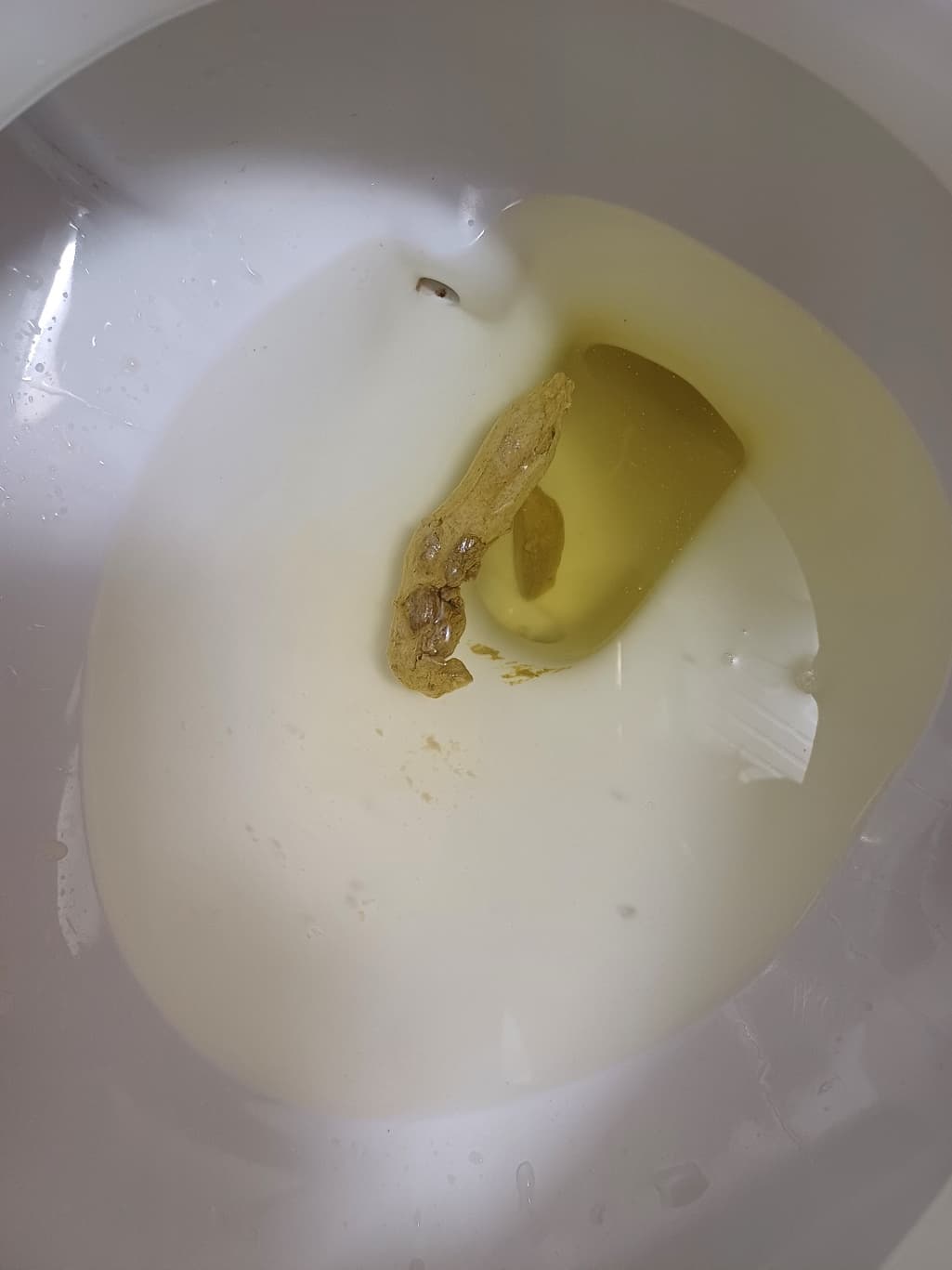 2번 째 사진