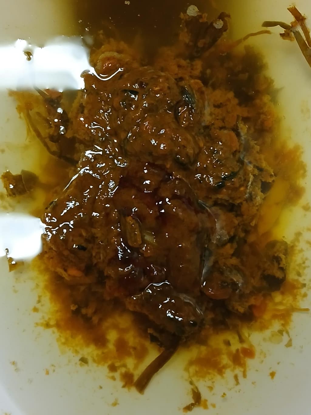2번 째 사진