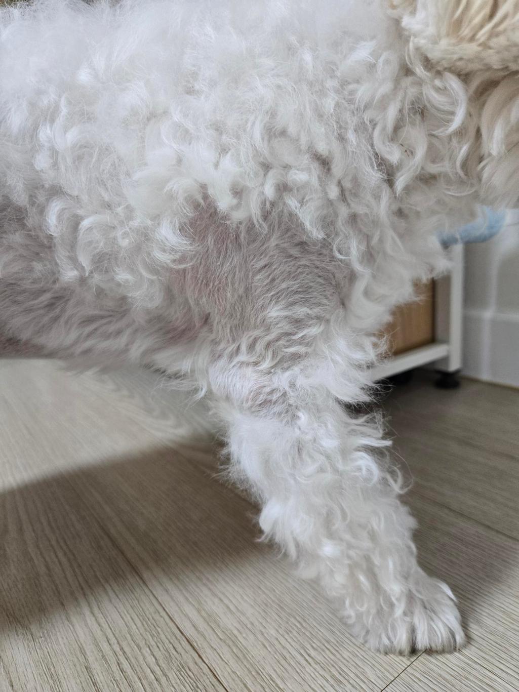 3번 째 사진