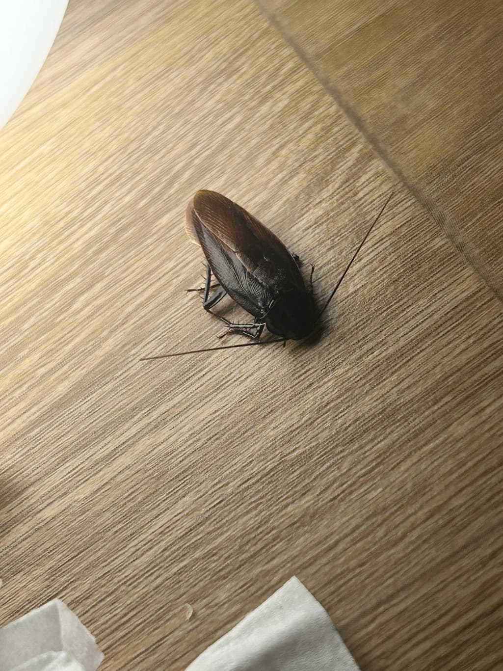 3번 째 사진