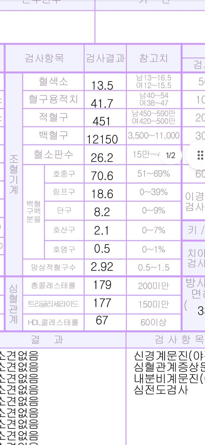2번 째 사진