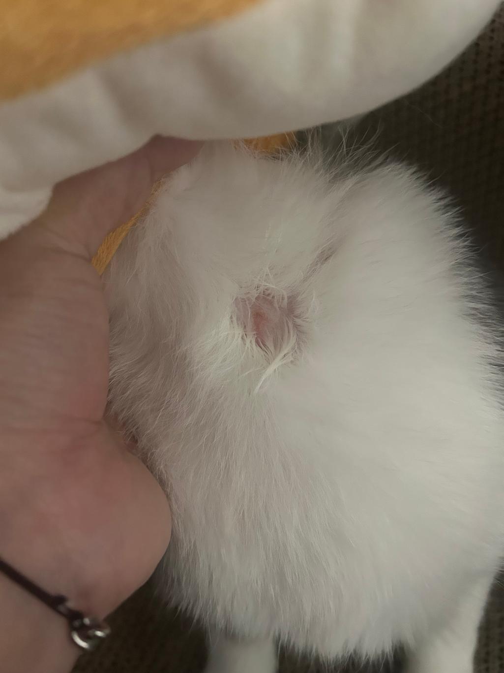 2번 째 사진