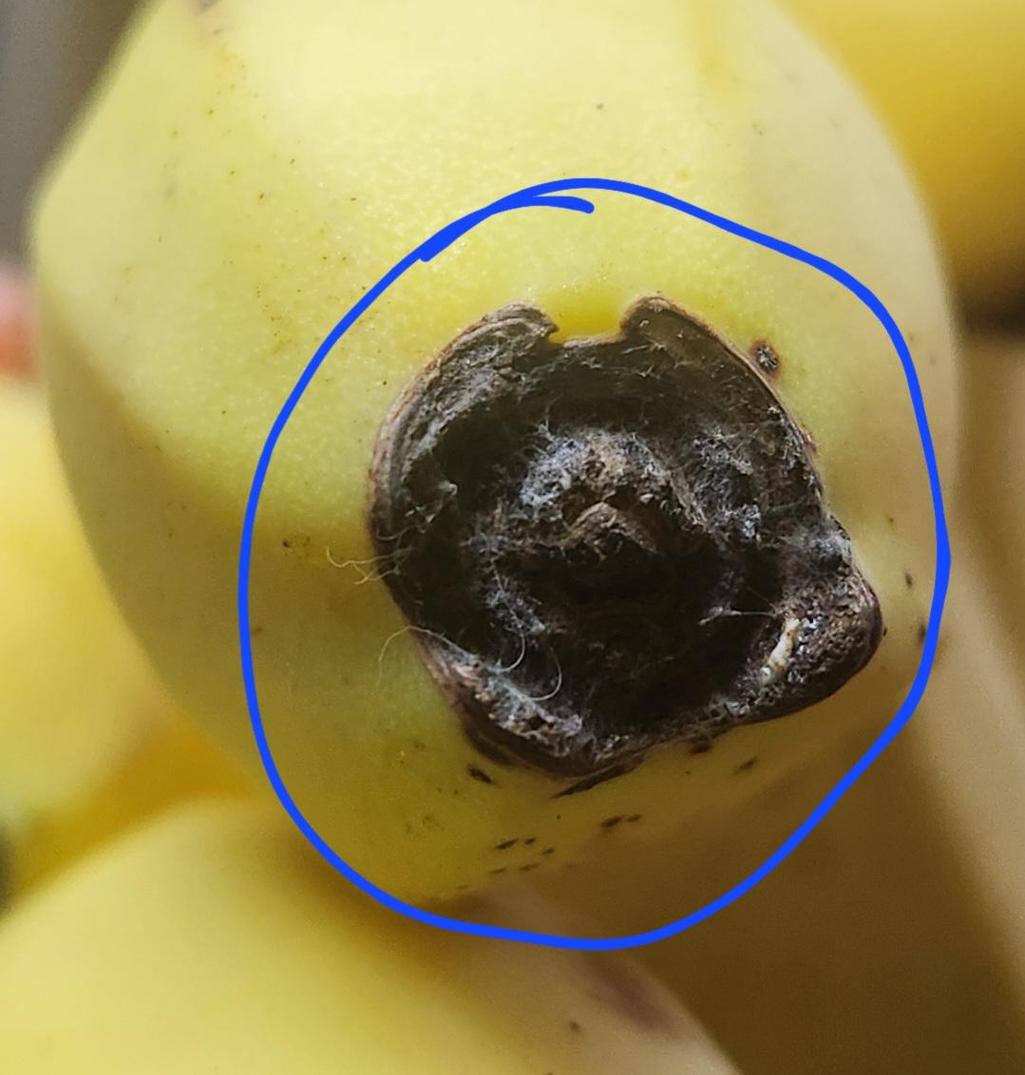 3번 째 사진