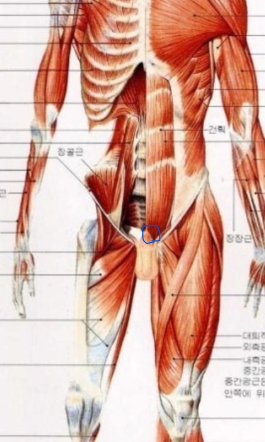 4번 째 사진