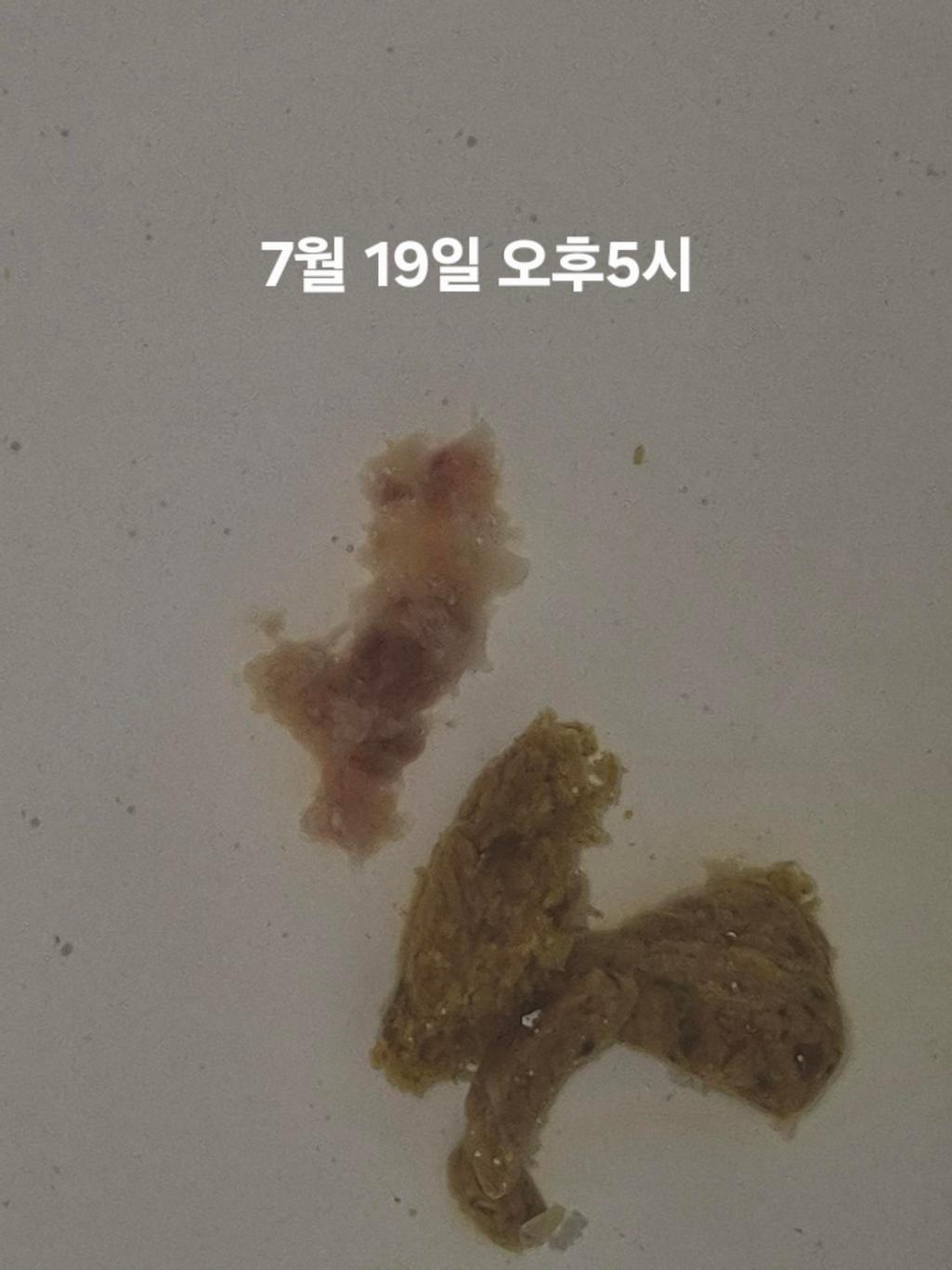 7번 째 사진