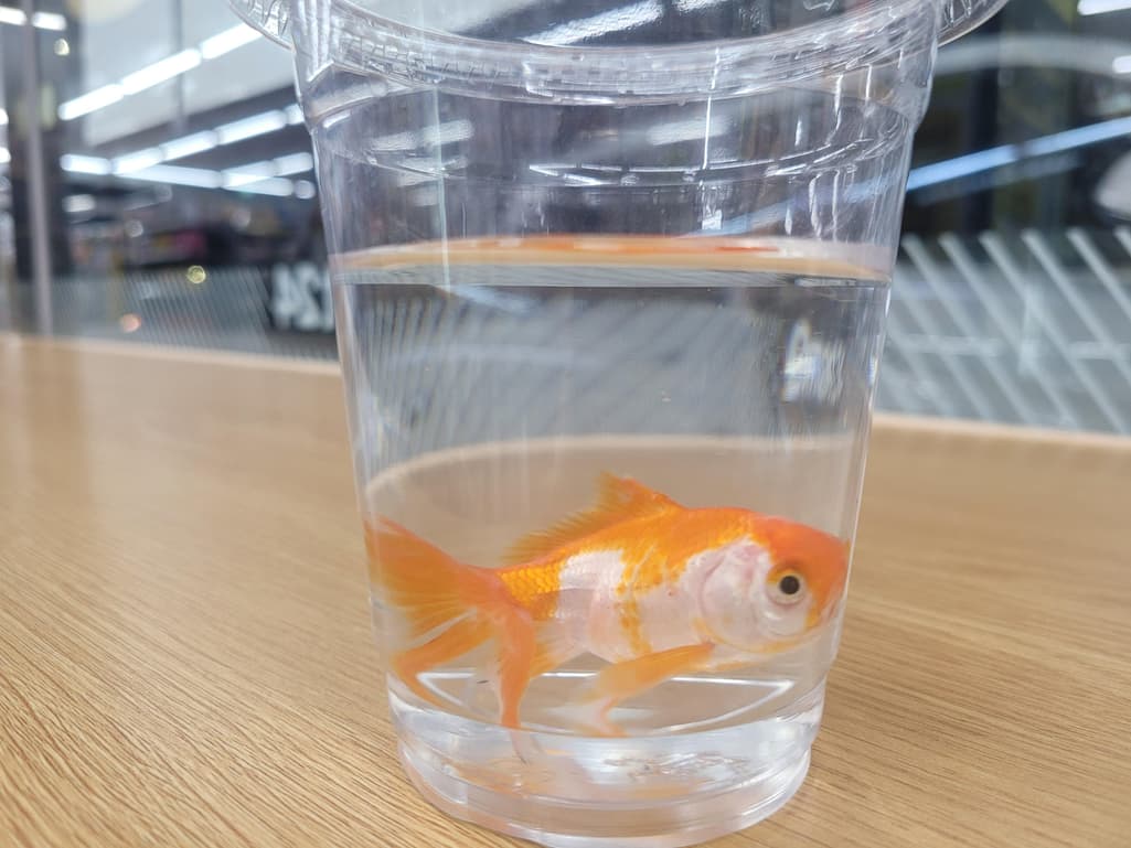 3번 째 사진