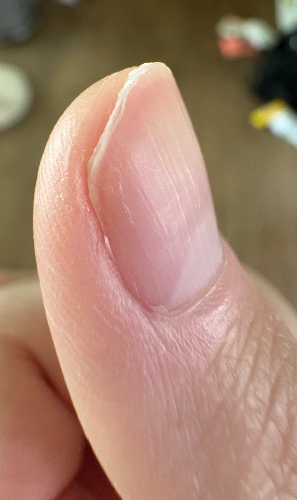 2번 째 사진