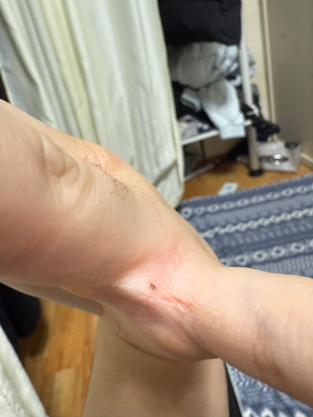 1번 째 사진