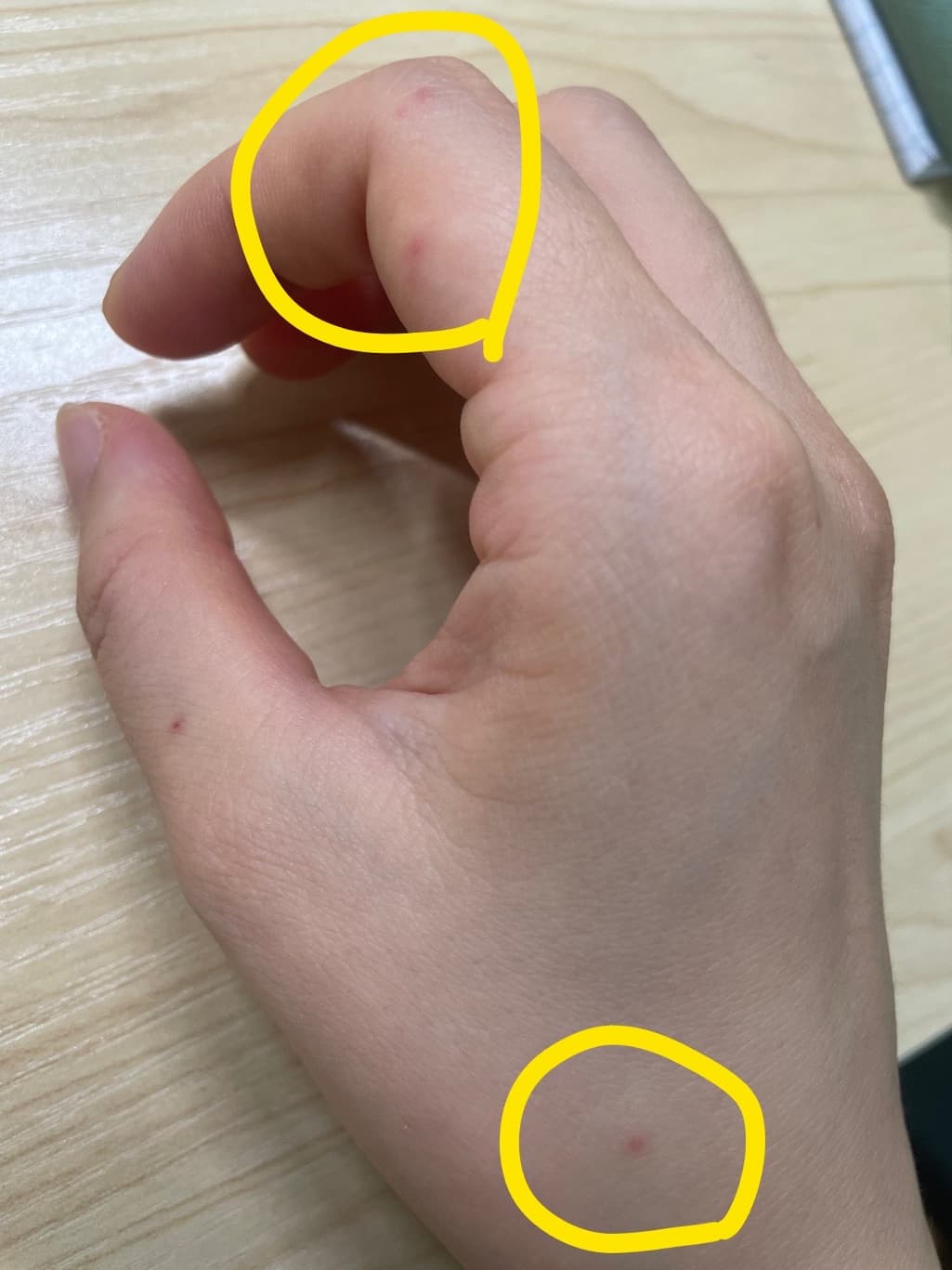 1번 째 사진