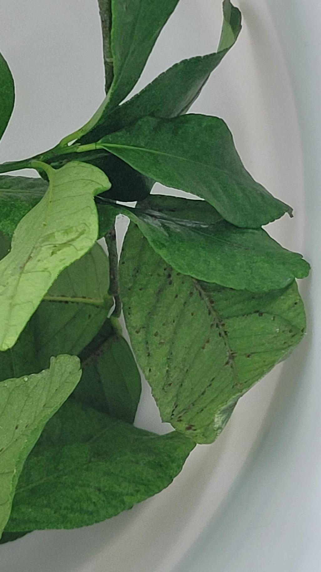 2번 째 사진
