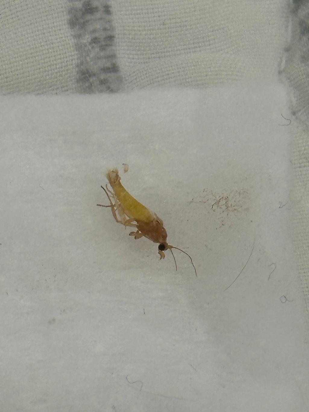 2번 째 사진