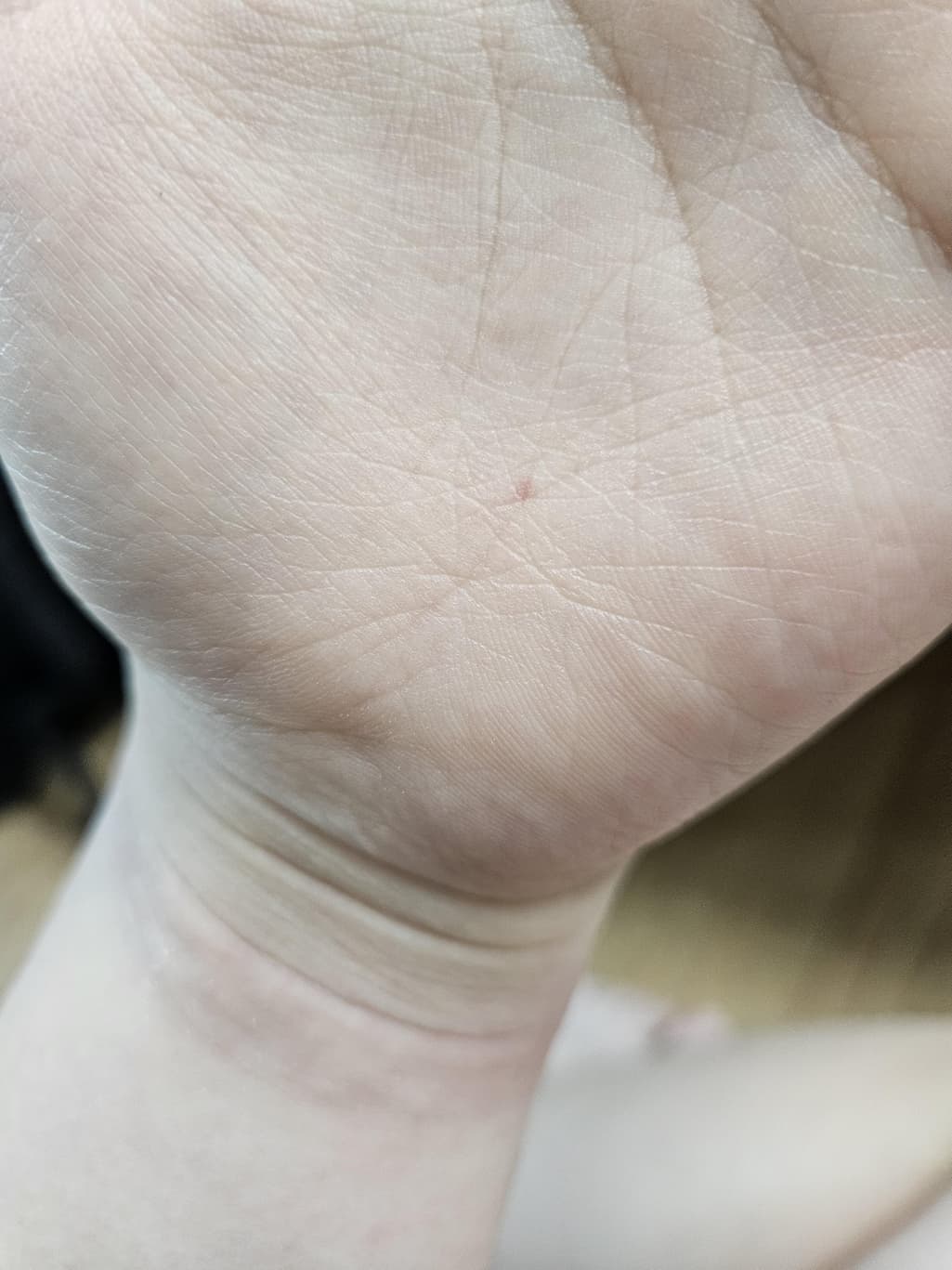 6번 째 사진