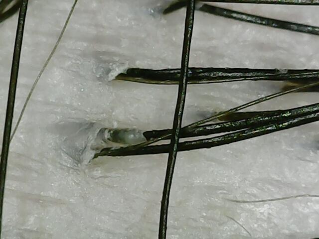 4번 째 사진