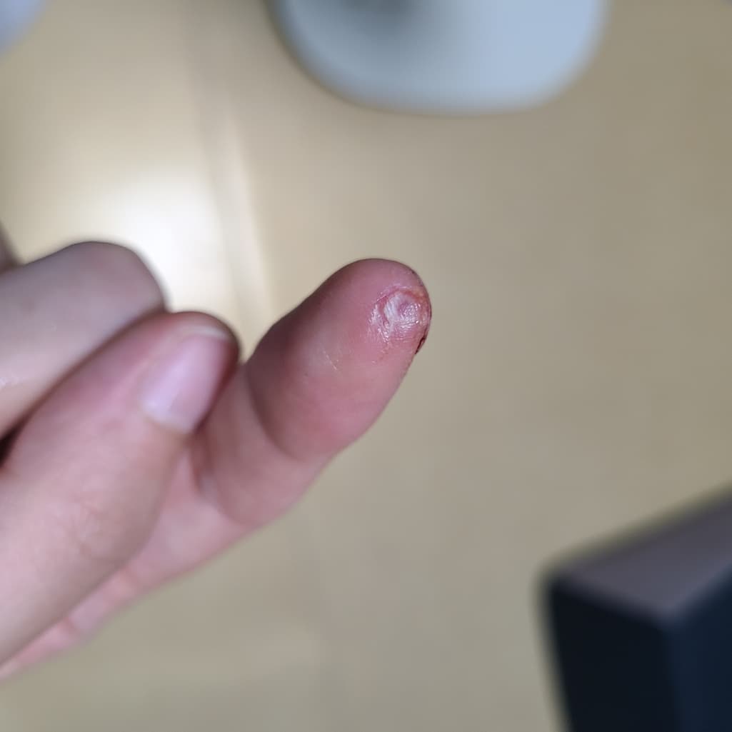 1번 째 사진