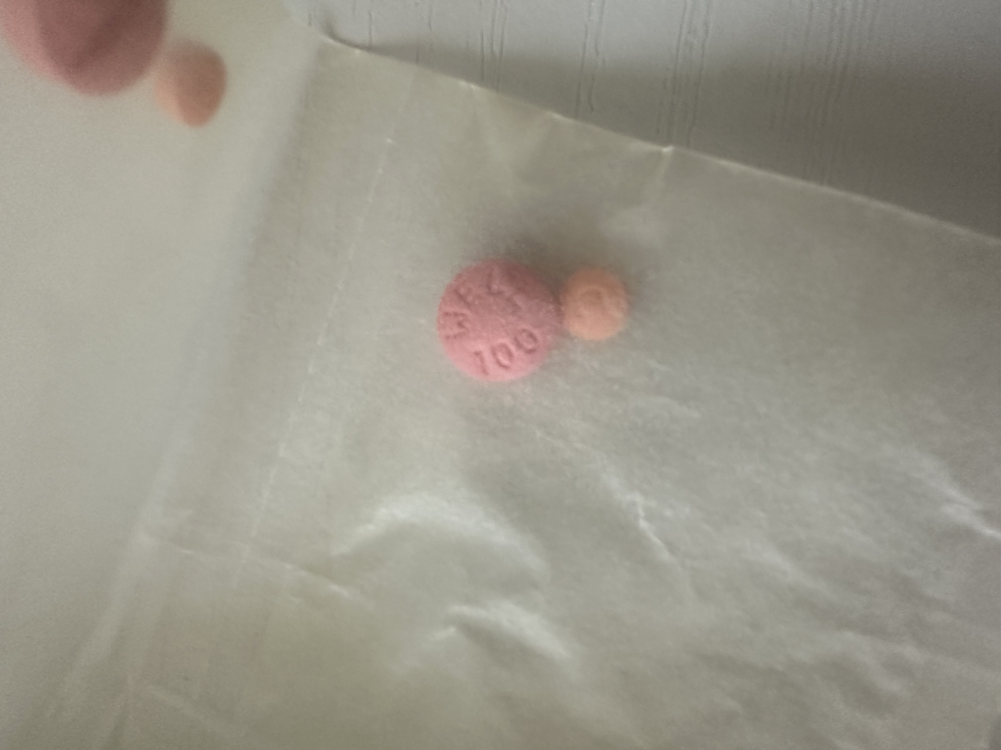 2번 째 사진