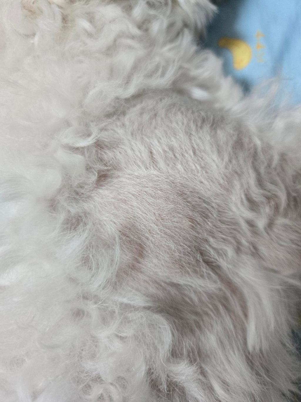 2번 째 사진