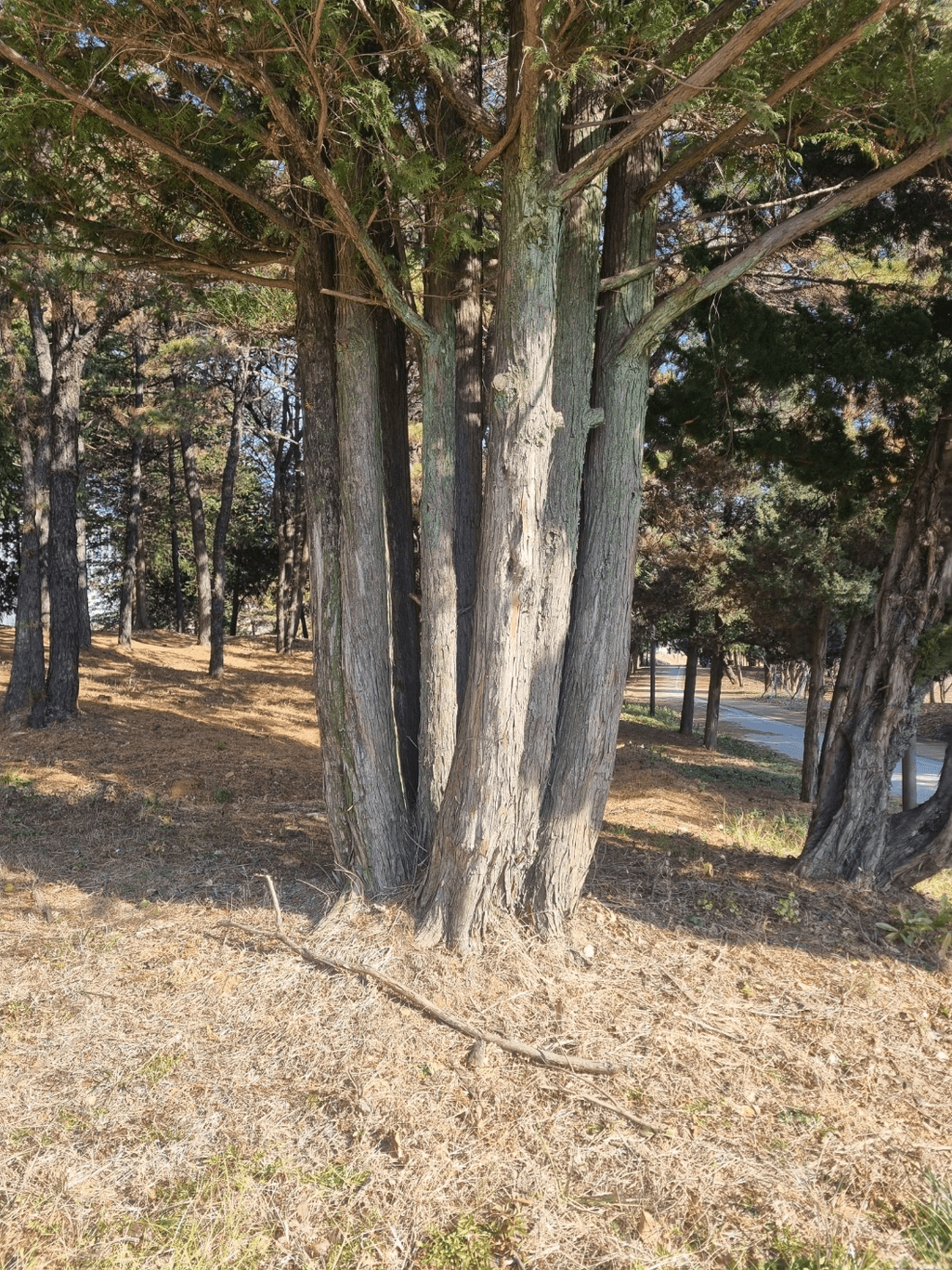 1번 째 사진