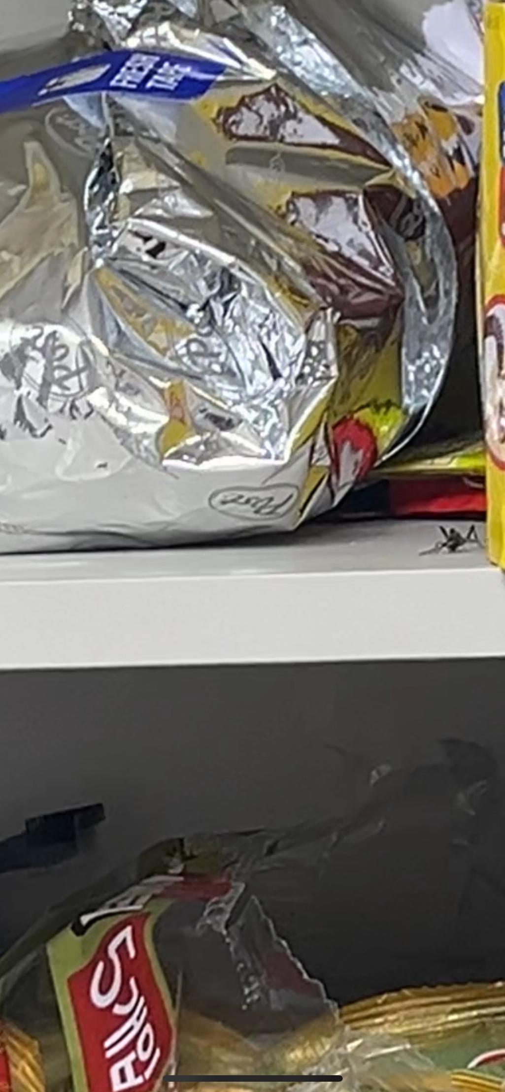 2번 째 사진