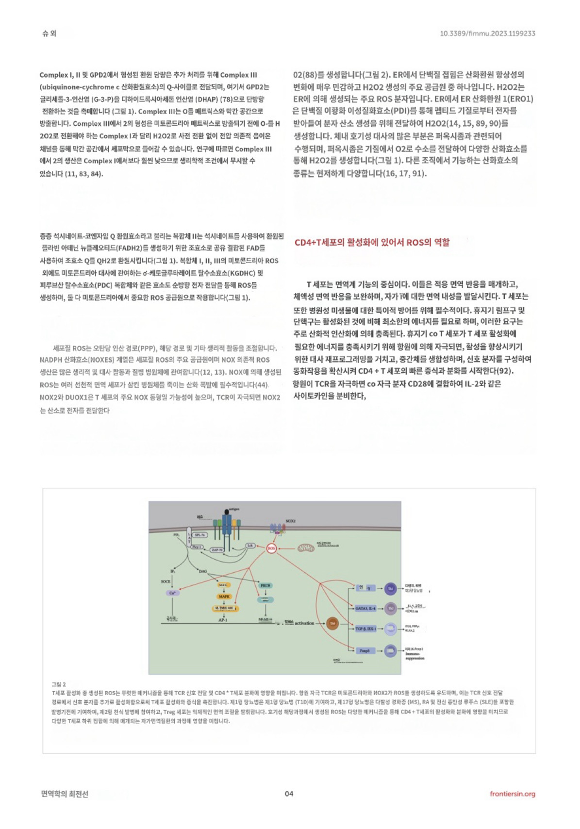 2번 째 사진