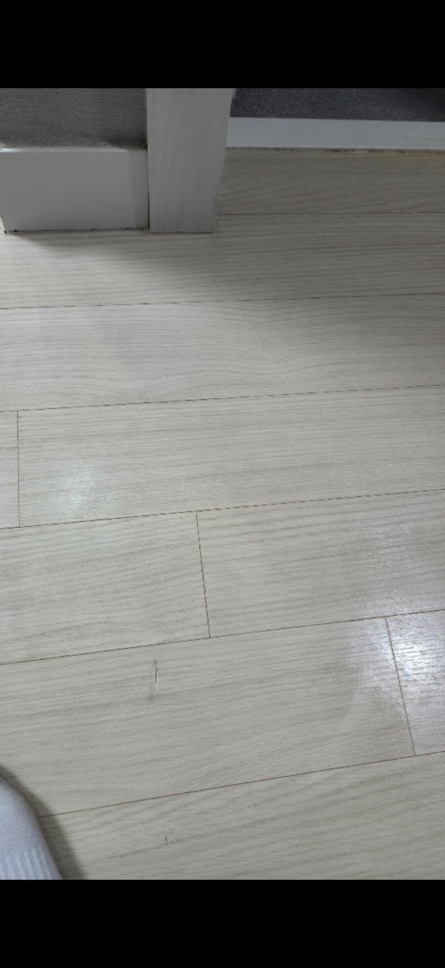 2번 째 사진