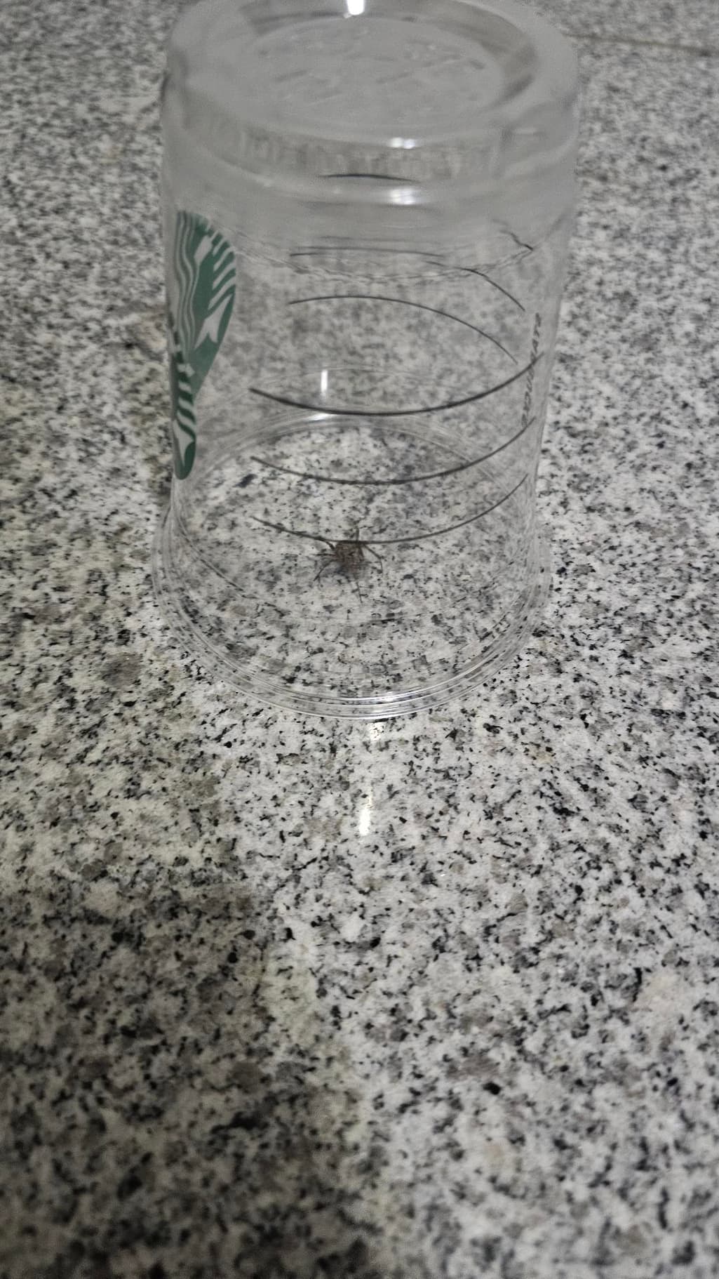 2번 째 사진