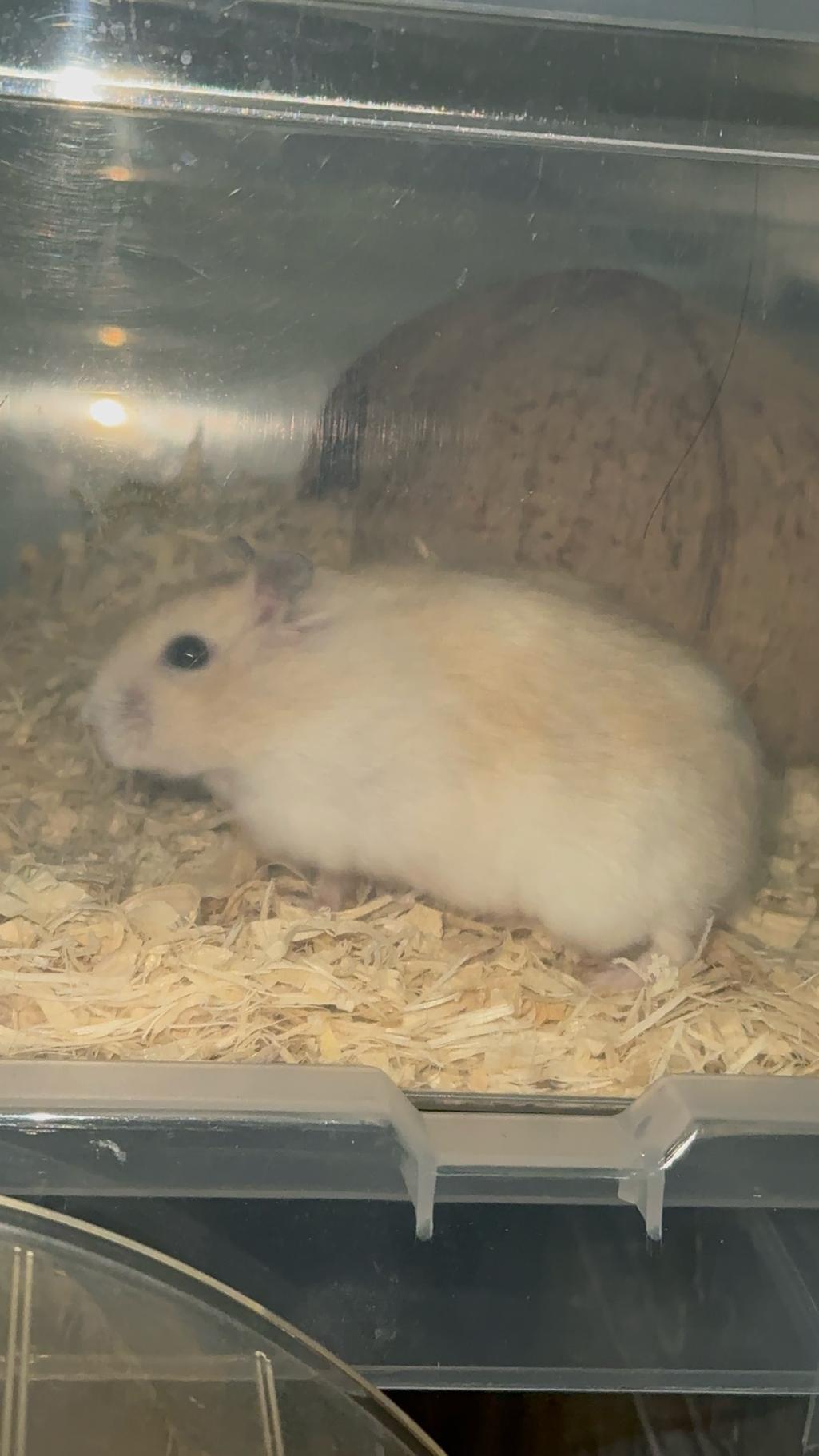 7번 째 사진