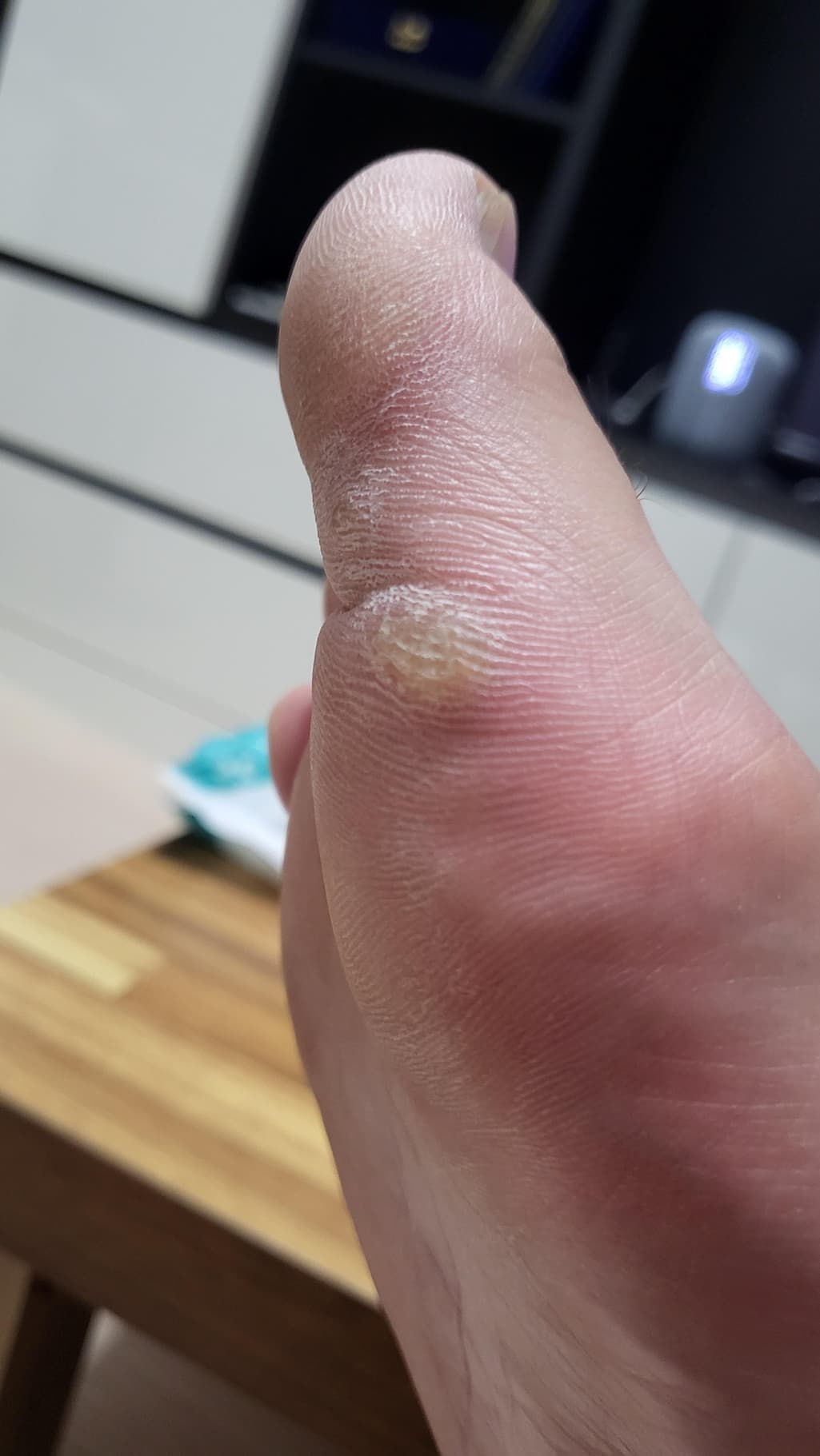 2번 째 사진