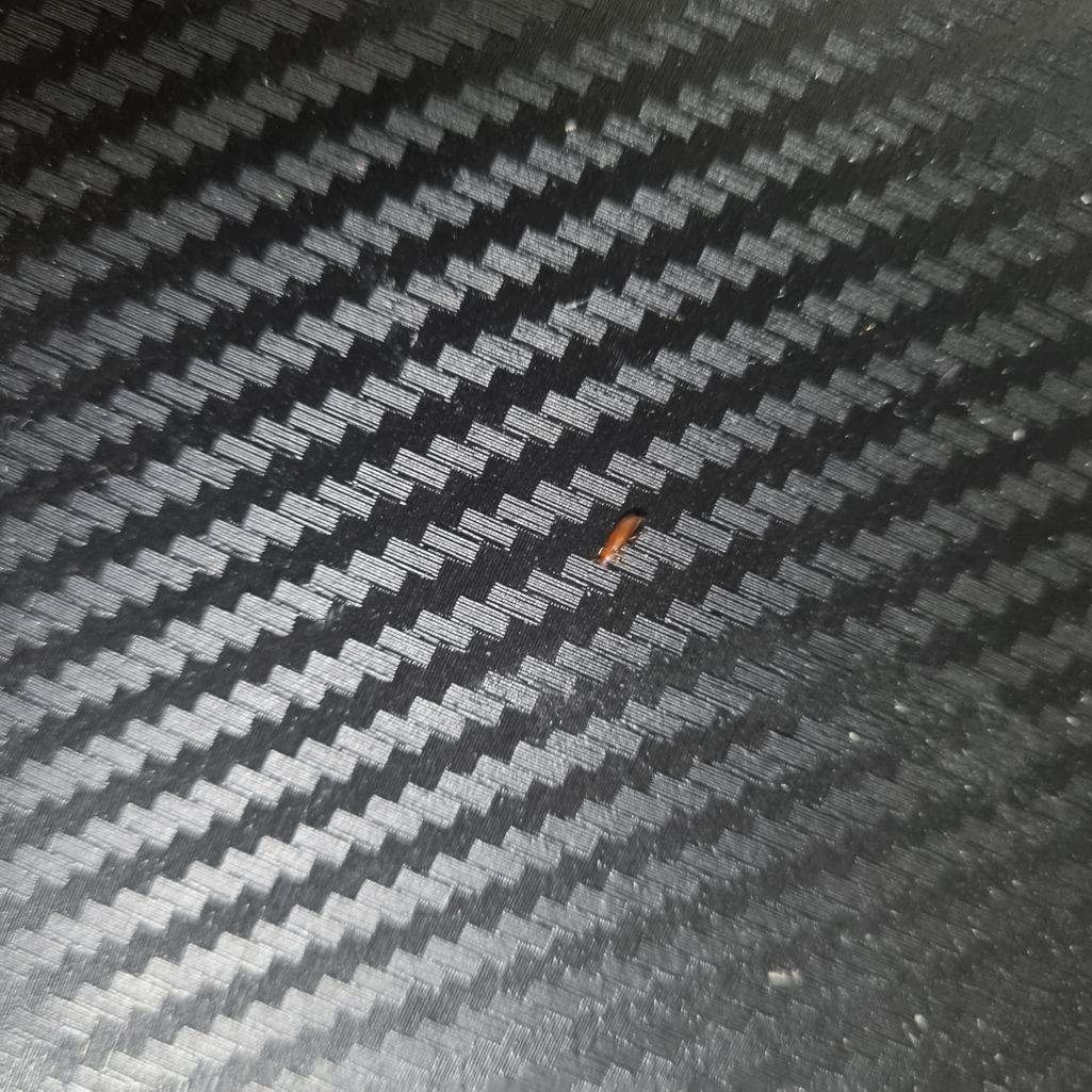 2번 째 사진