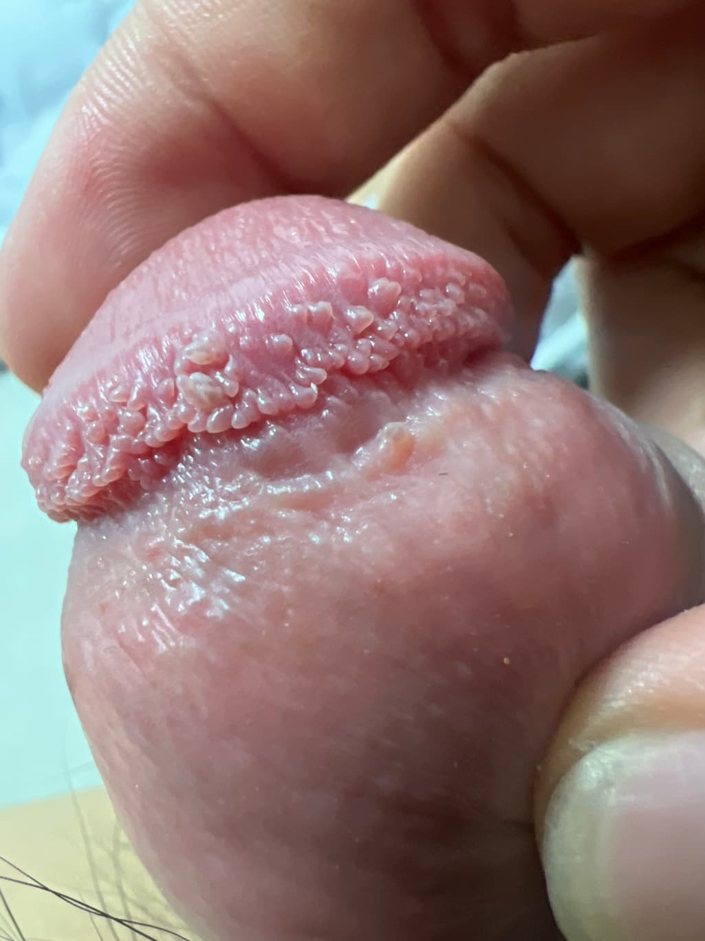 3번 째 사진