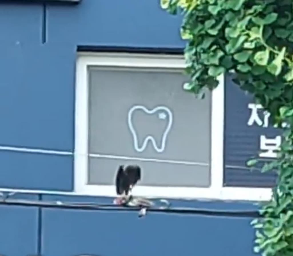 2번 째 사진